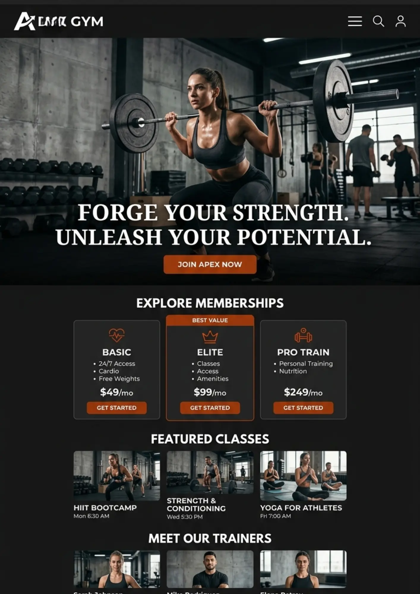 Gym Website Template